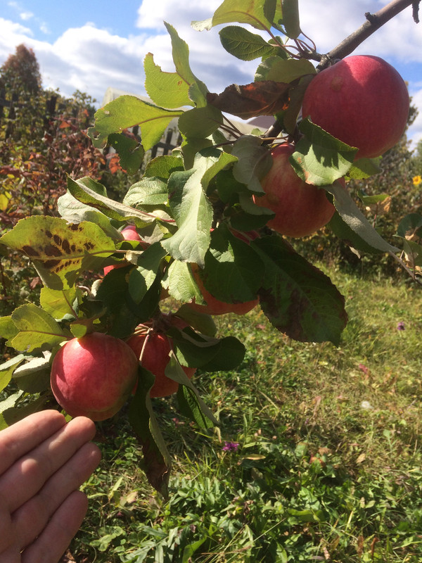 A6F79CB3-021F-4DFB-BEAD-4C16F3CB5698