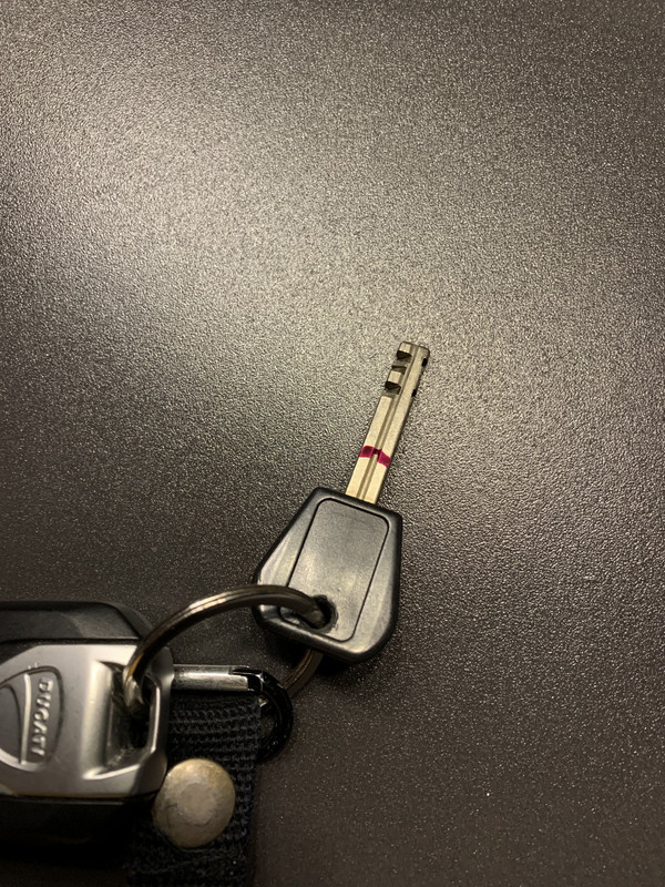 D05E3780-090B-4D4C-9B2C-33000569F393