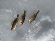 [Image: 20220114-120756.jpg]