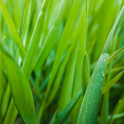 IMG-20190418-083638lr