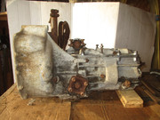 IMG-6474.jpg