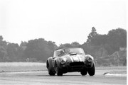  1964 International Championship for Makes - Page 5 64tt23-AC-Cobra-J-Sears-1