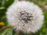 IMG-20190418-083030lr