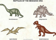 https://i.postimg.cc/ThKKPfR4/015-reptiles-of-the-mesozoic-era.jpg