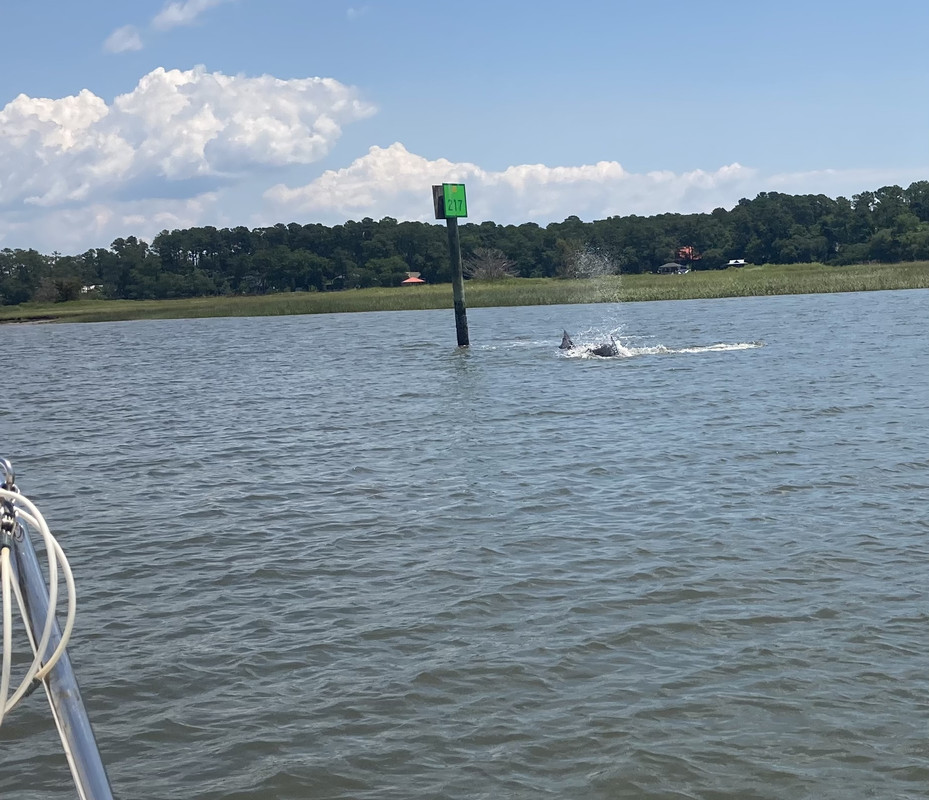 CDC2AD95-6B2D-4715-AA1B-636197400FA3