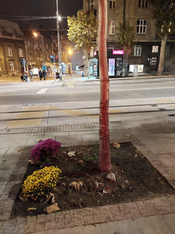 4bulevara04-2020-11-11-22-45-23.jpg