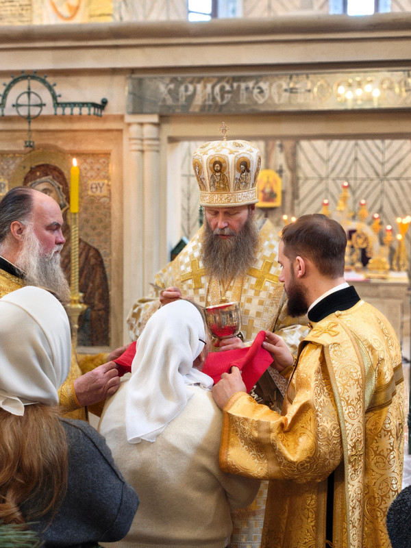 In Shot 20260212 193104407