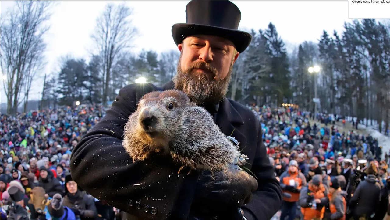 La marmota Phil predice seis semanas más de invierno