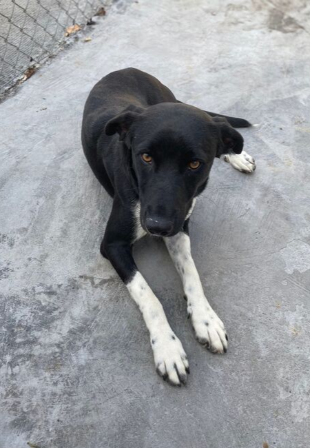 B855B0AF-A67F-4492-B3FD-8D16F037B28C