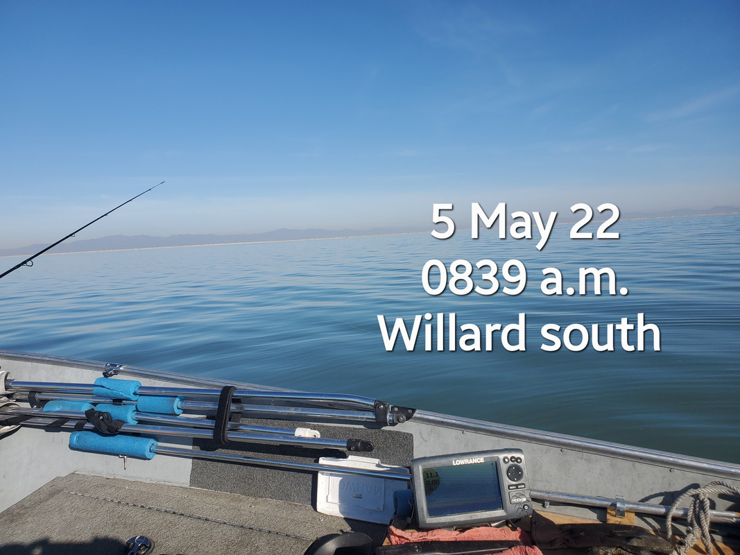 (04) 5 May 2022 skunked