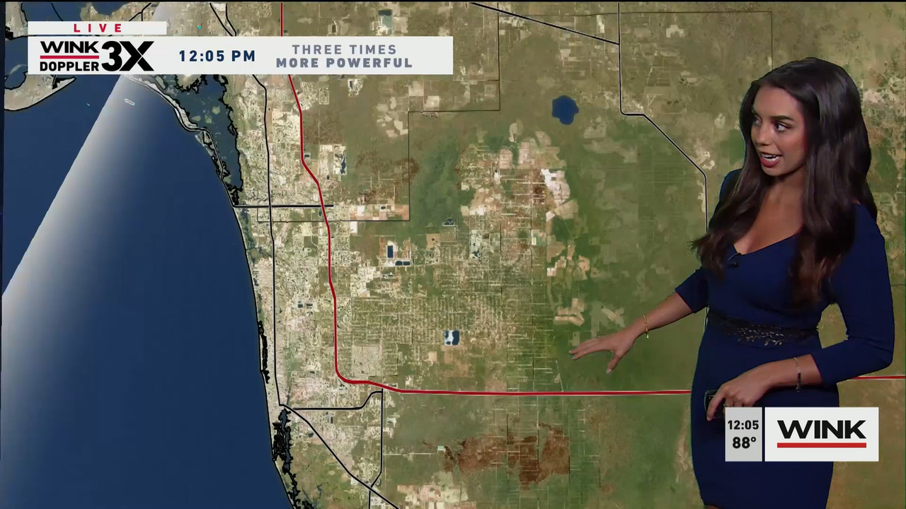 03.06 - 17.00.00 - The WINK Noon News  ᴺᵉʷ. Midday news update..ts_snapshot_11.28.611