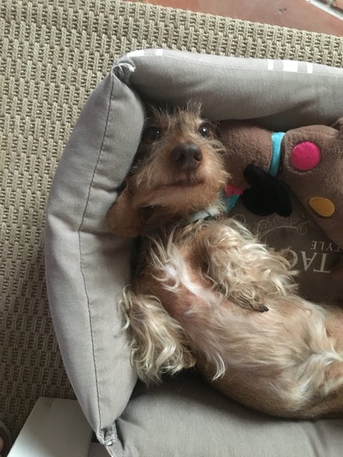 [Image: D2079-B43-7-AE9-4507-B264-36-A0-DFECC0-B0.jpg]