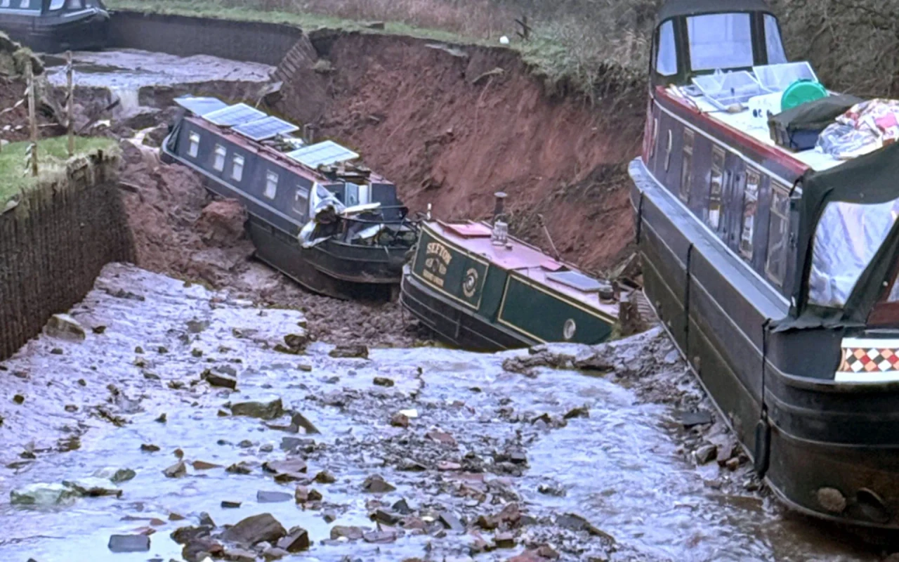 TELEMMGLPICT000454301784 17664041005260 trans Nv BQz QNjv4Bq IWLY18X4 Czgy Icj LEAj0k9u7Hh RJvuo ZLe