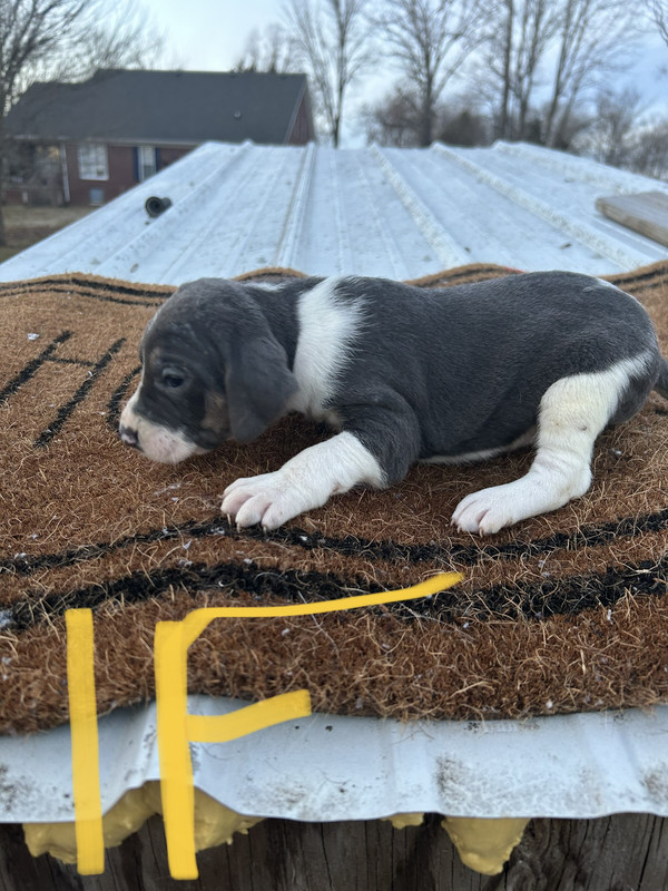 4E15A171-0C8E-4201-BB43-0602BD33B1C0