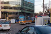 IMG-4335