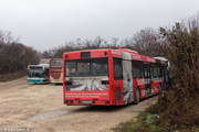 IMG-1552