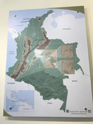 IMG-8867