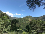 BBG&B17TezpurToBomdila - 5