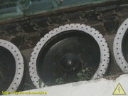 IMG-7206