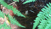DSC00150