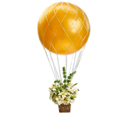 0-1bfd8a-b8ba6270-orig