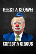 Elect-a-clown-expect-a-circus