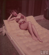 corinne-calvet-b17