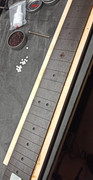 IMG-20240731-192811