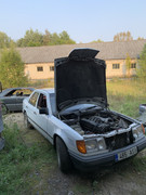 [Pilt: IMG-0084.jpg]