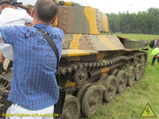 IMG-6597