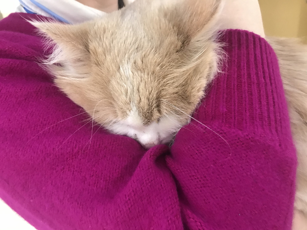 26511366-7F1F-4EAB-9150-18E676BB16B9