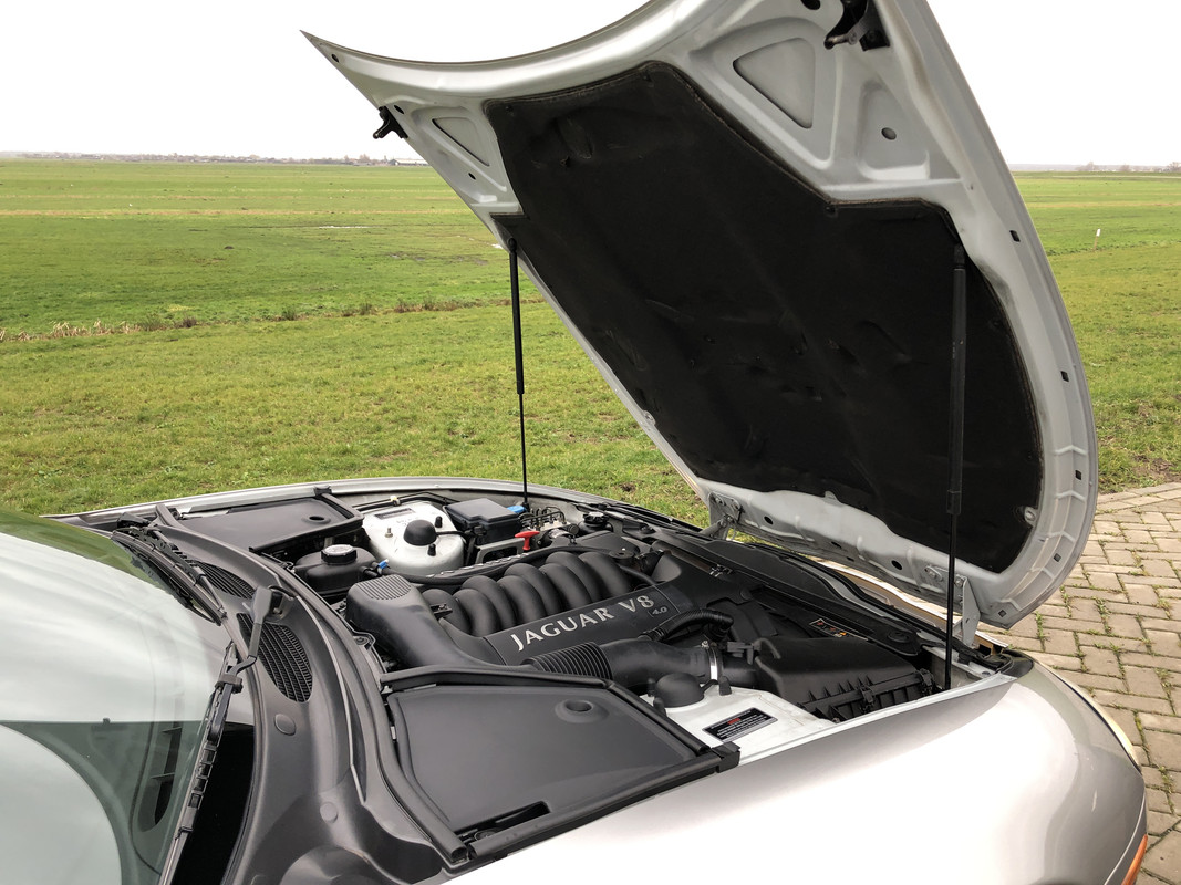 3161C396-9314-47C0-A004-DB1082BC8E71