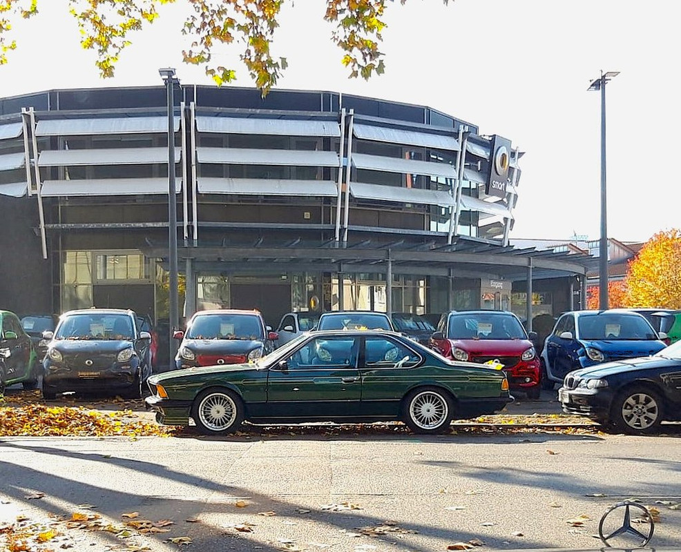 cesta 24 alpina (4)