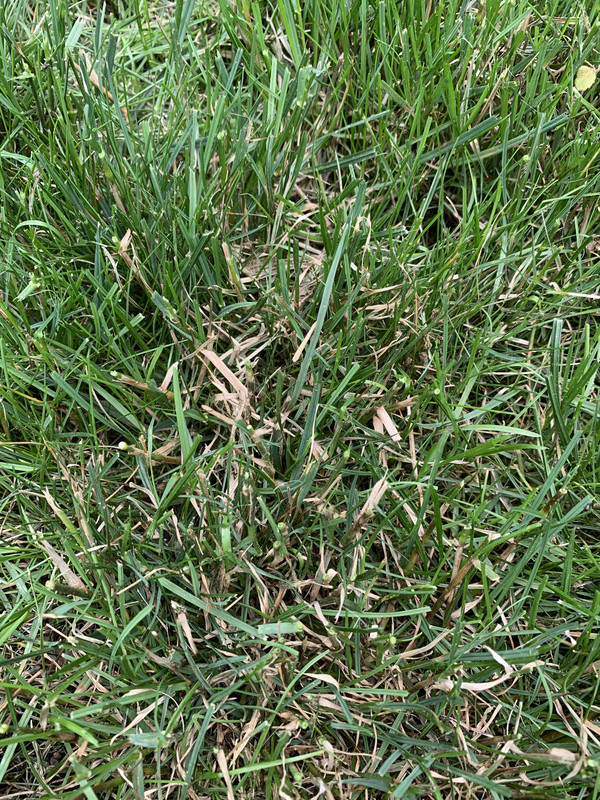 C321C322-0AEB-4EBB-9DEF-ED5316D091BB