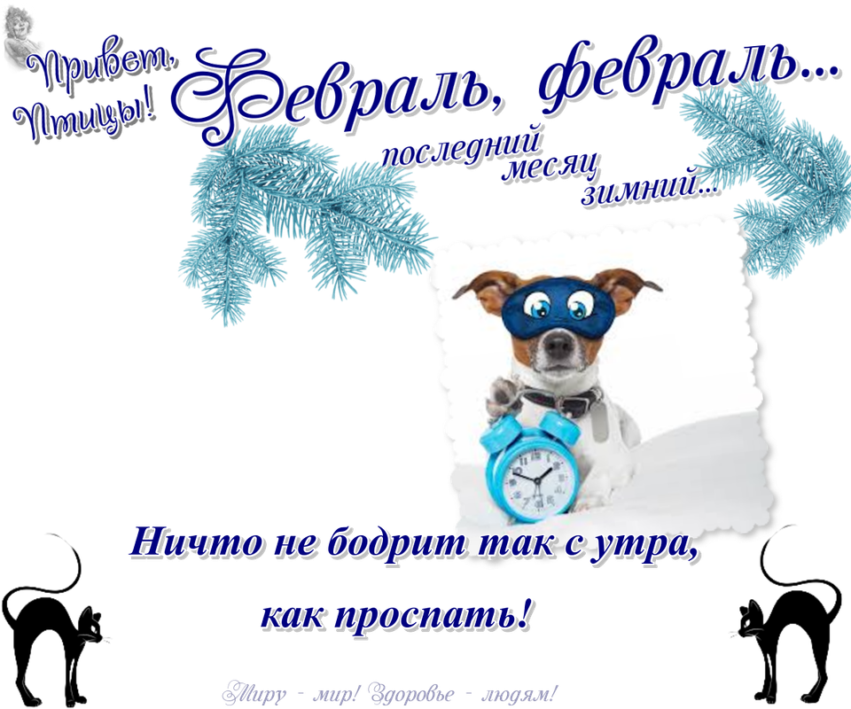 https://i.postimg.cc/Thvx6J2X/10-02.png