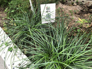 photo-iherbalgarden-3rd-036