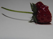 26.5.life and death of a strawberry V