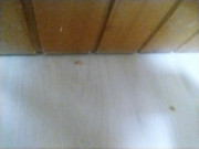 IMG-20211030-144846