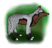 Credits go to Kosha on WP