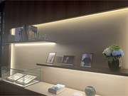 5D8F3F9E-BB35-4BF2-B6B8-87CA5B09AE90