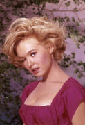 joey-heatherton-c23