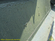 IMG-5646