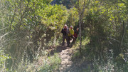 11-01022025