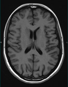 Screenshot 20251108 124101 Chrome 4