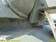 IMG-5484