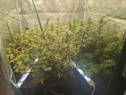 IMG_20250419_001616_395