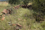 DSC-0045