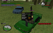 sa-mp-0000010