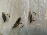 4D6E4332-9EC0-42AF-A82F-CE138E0D8B6D