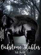 2DEA4AA5-BA0B-40A8-865F-21007CF24219